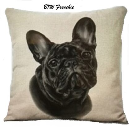 Decorative pillow covers