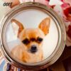 Cat and Dog Pill Boxes - Image 12