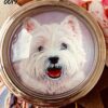 Cat and Dog Pill Boxes - Image 13