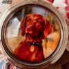 Cat and Dog Pill Boxes - Image 17
