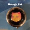 Cat and Dog Pill Boxes - Image 6