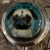 Cat and Dog Pill Boxes - Image 20