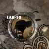 Cat and Dog Pill Boxes - Image 2