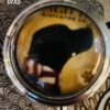 Cat and Dog Pill Boxes - Image 22