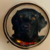 Large dog pillboxes - Image 4