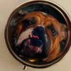 Large dog pillboxes