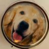 Large dog pillboxes - Image 7