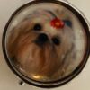 Large dog pillboxes - Image 8