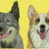 Customized dog caps