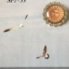 Brooches - Image 15
