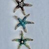 Starfish P{ins