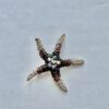 Starfish Pin/Brooch - Image 3