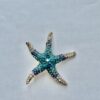 Starfish Pin/Brooch - Image 4