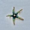 Starfish Pin/Brooch - Image 5